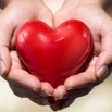 Сердце - важнейший орган нашего организма