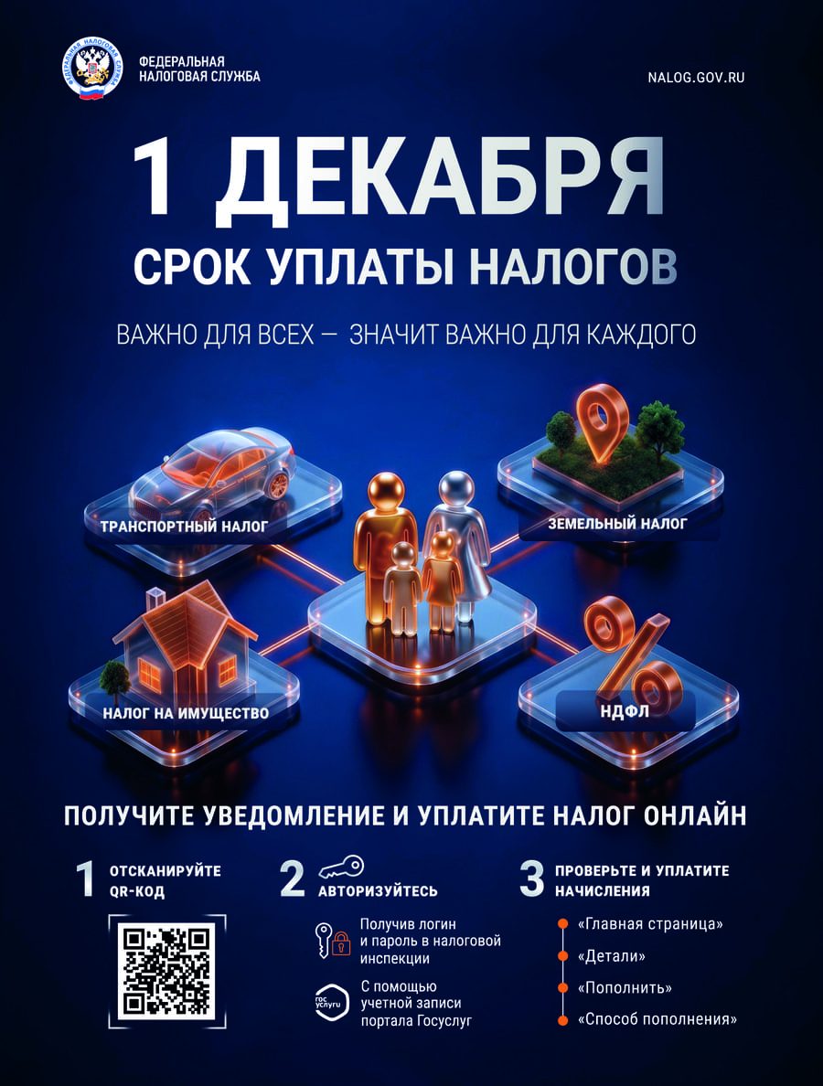 1 декабря - срок уплаты налогов